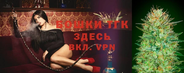 тгк Лиски