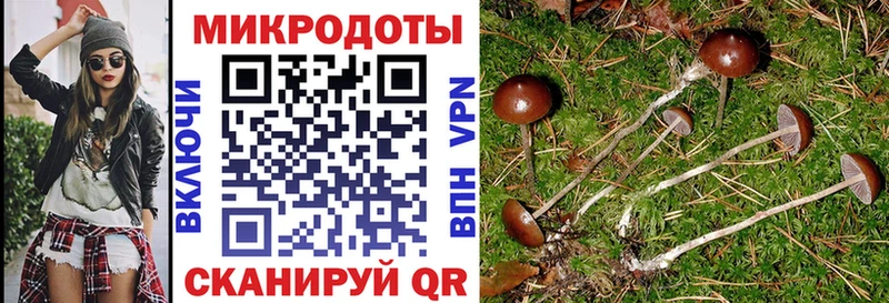 Псилоцибиновые грибы Psilocybine cubensis  darknet Telegram  Почеп 